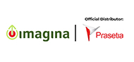 IMAGINA