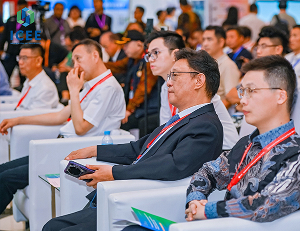 China-Indonesia Renewable Energy Industry Cooperation